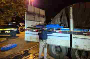 Laranjeirense é preso com carga de celulares escondida em fundo falso de caminhão na BR 116